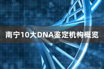 南宁10大DNA鉴定机构概览